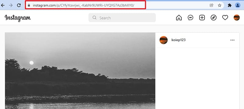 Copy the private post link